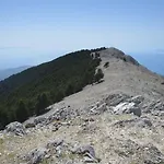 Fotini بيت للعطل سامي